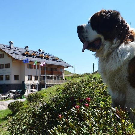 Rifugio Capanna Passo Valles ファルカーデ エクステリア 写真