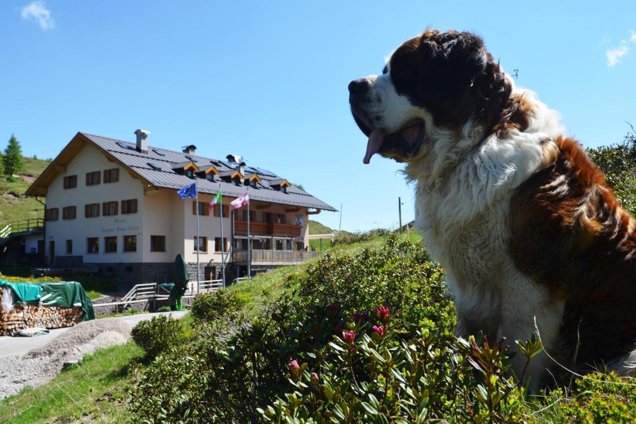Rifugio Capanna Passo Valles ファルカーデ エクステリア 写真