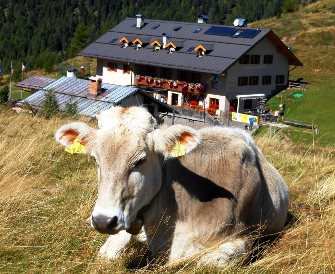 Rifugio Capanna Passo Valles ファルカーデ エクステリア 写真